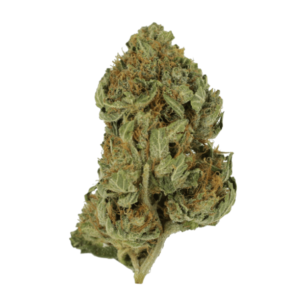 Bubblegum – 1 ounce | Speed Greens Canada