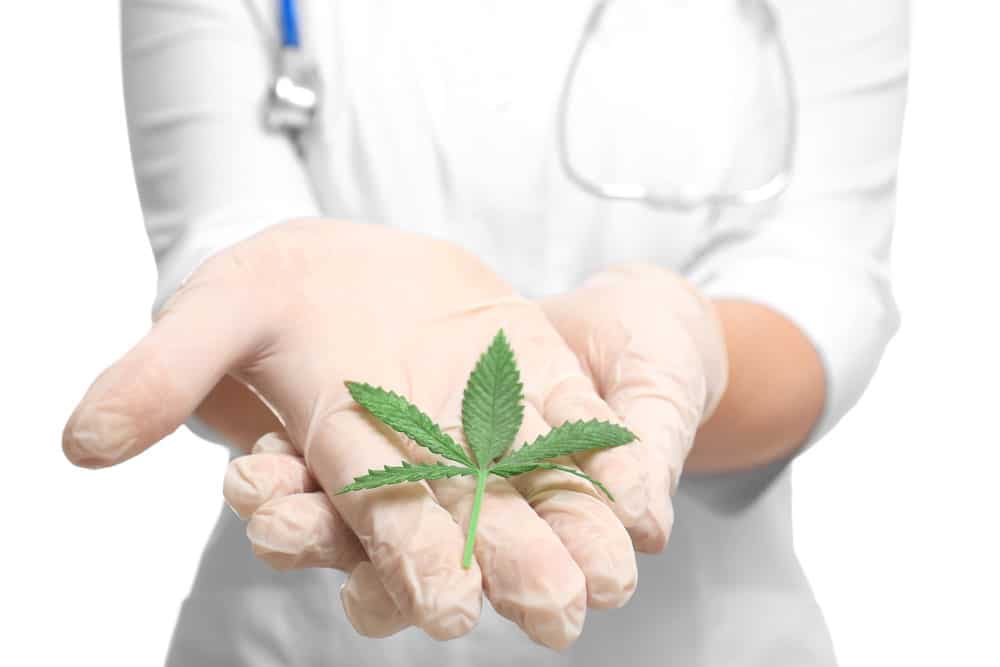 Cannabis as a natural cure for pain | Speed Greens Canada