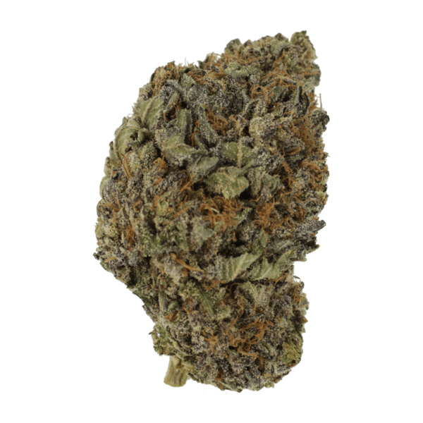 Black Diamond | Speed Greens Canada