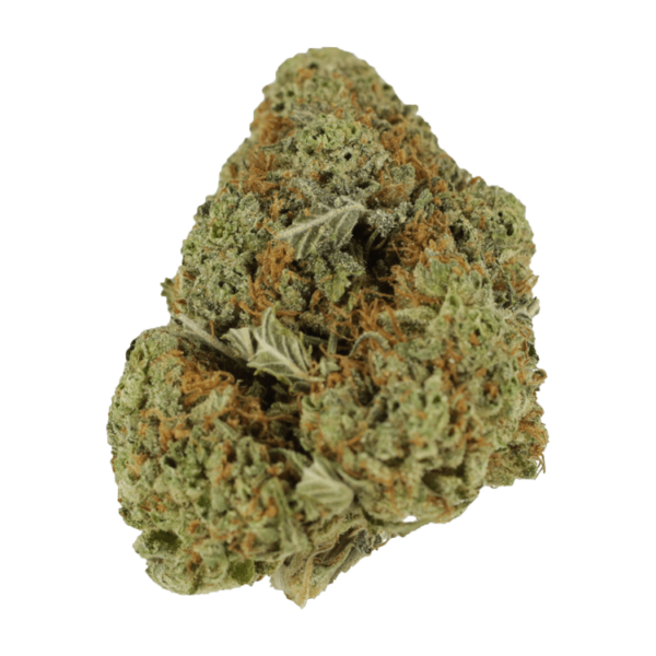 Mataro Blue – 1 ounce | Speed Greens Canada