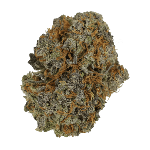 Jack Herer 1 Ounce | Speed Greens Canada