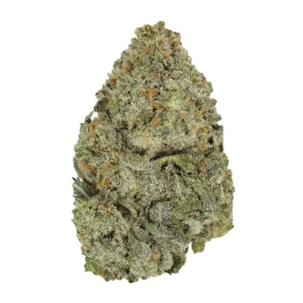 Lemon Meringu- | Speed Greens Canada