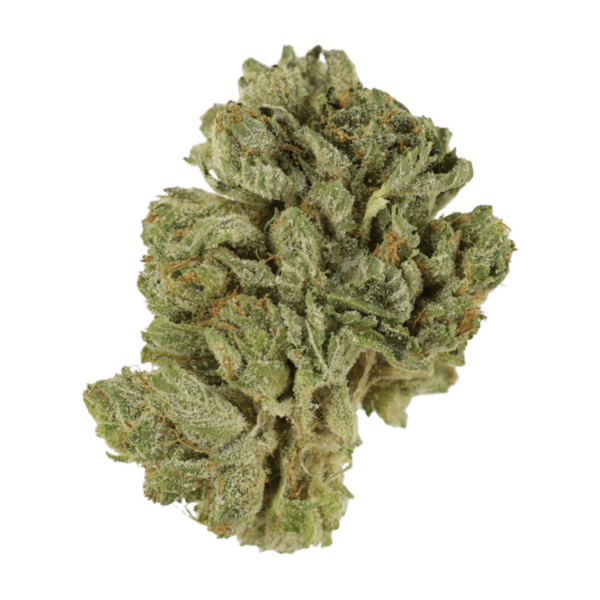 Northern Lights 2 for $69 | Speed Greens Canada