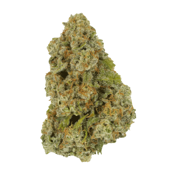 Colorado Diesel | Speed Greens Canada