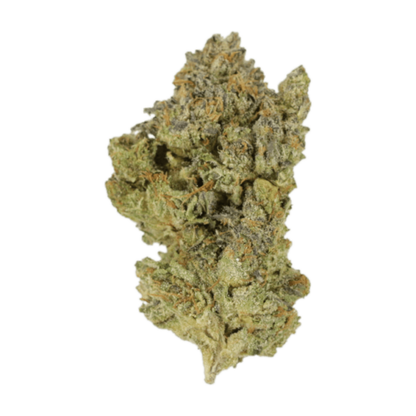 Golden Goat | Speed Greens Canada