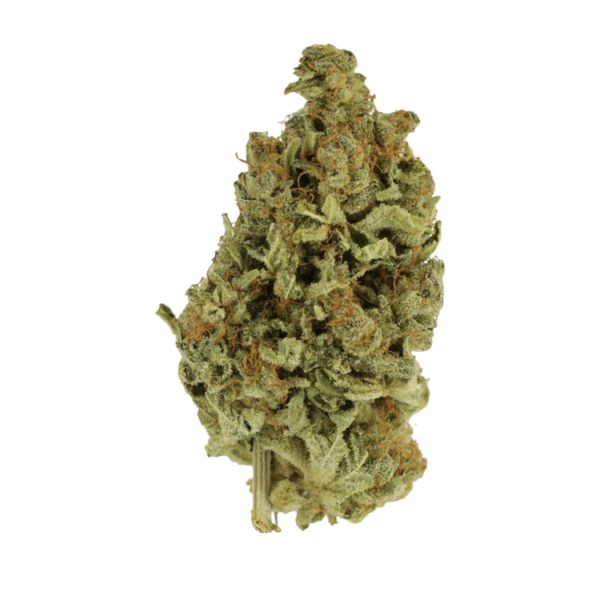 Cali Gold | Speed Greens Canada