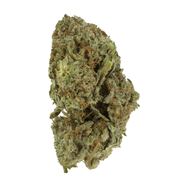 Gelato Sorbet – 1 ounce | Speed Greens Canada