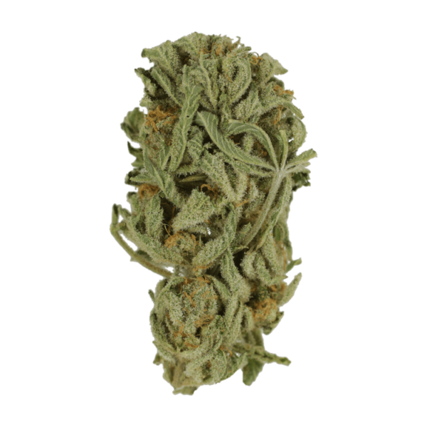 Master Kush Ultra | Speed Greens Canada
