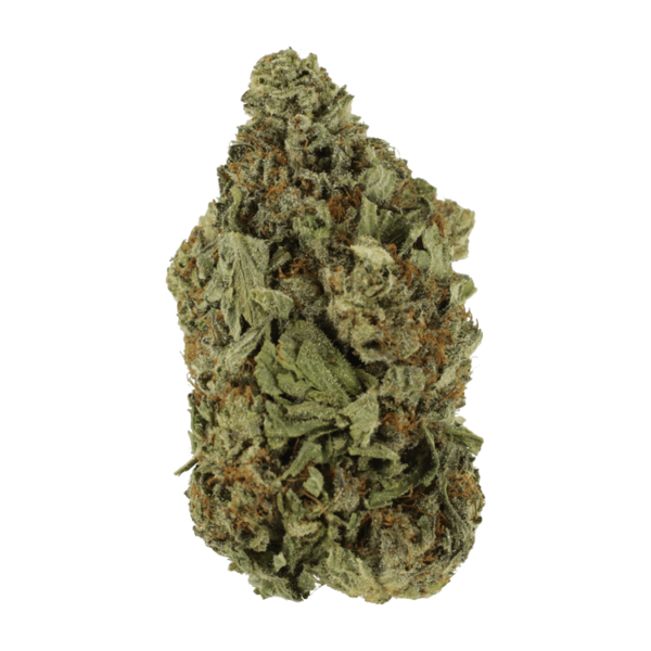 Shishkaberry | Speed Greens Canada