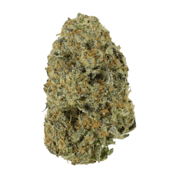 Northern Haze Express | Speed Greens Canada