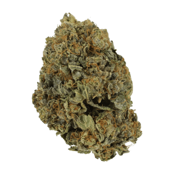 White Shark – 1 ounce | Speed Greens Canada