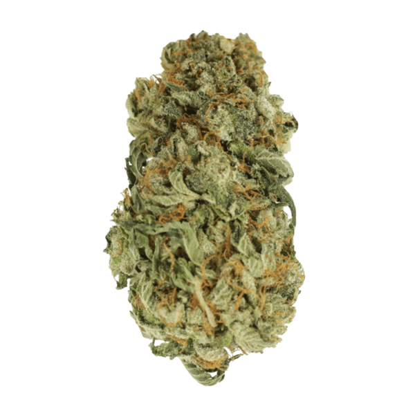 King Louis – 1 ounce | Speed Greens Canada