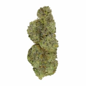 Strawberry Cough | Speed Greens Canada