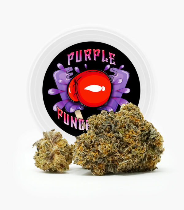 Westcoast Cali Tins – Premium Flower – Purple Punchsicle – 14g | Speed Greens Canada