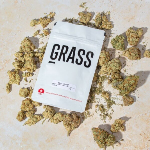 1/2OZ Sample Pack (AAA) – SAVE 20% | Speed Greens Canada