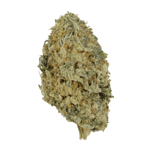 Donkey Butter | Speed Greens Canada