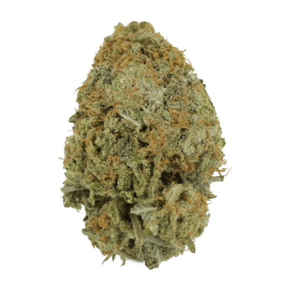 Pink Tuna (Popcorn) – $40/oz | Speed Greens Canada