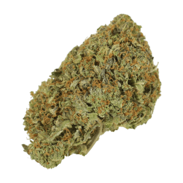 Garlic Breath – 1oz / $60 | Speed Greens Canada