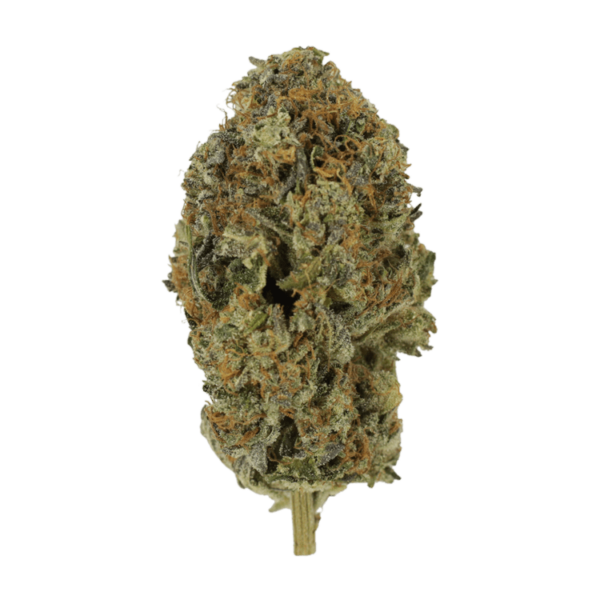 Acapulco Gold | Speed Greens Canada