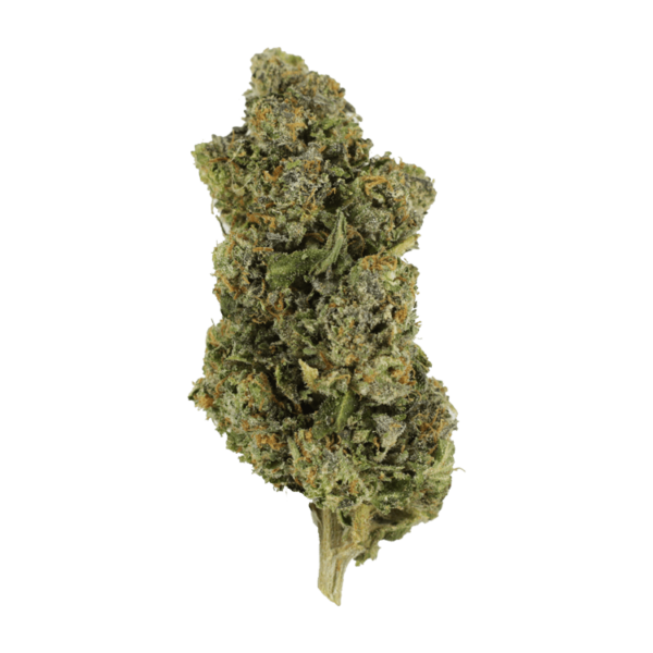Jokerz | Speed Greens Canada