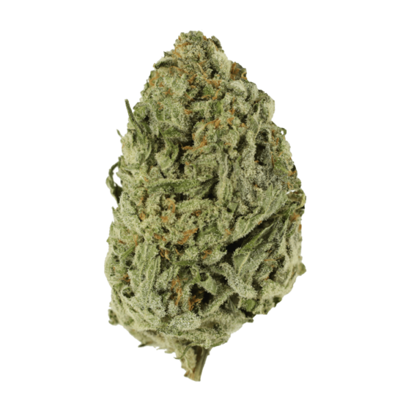 Lemon Meringue 1 Ounce | Speed Greens Canada