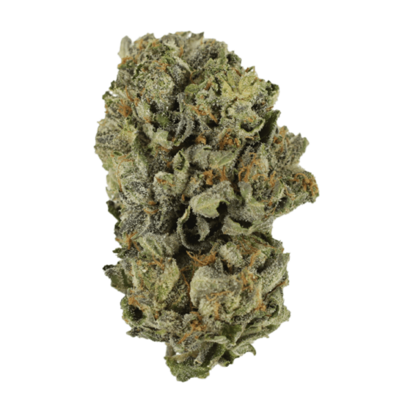 Cerebro Haze | Speed Greens Canada