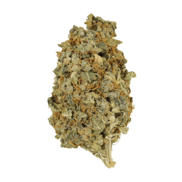 Mint Cookies | Speed Greens Canada