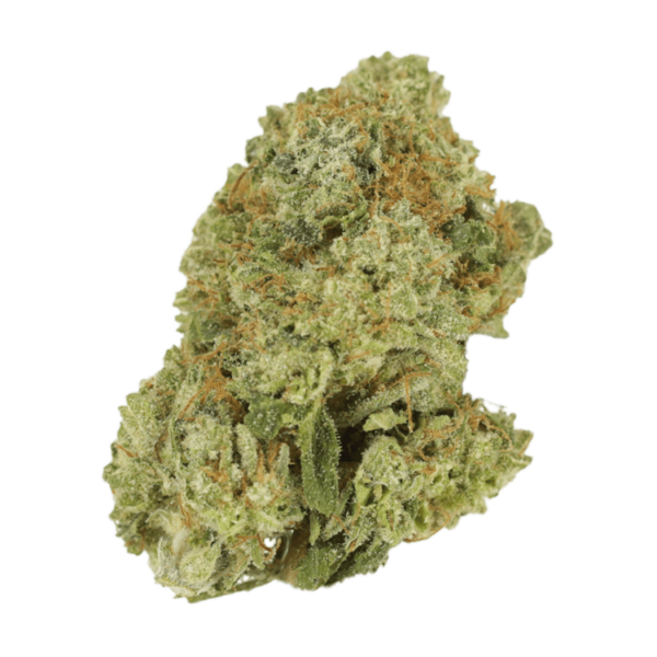 Green Lantern | Speed Greens Canada