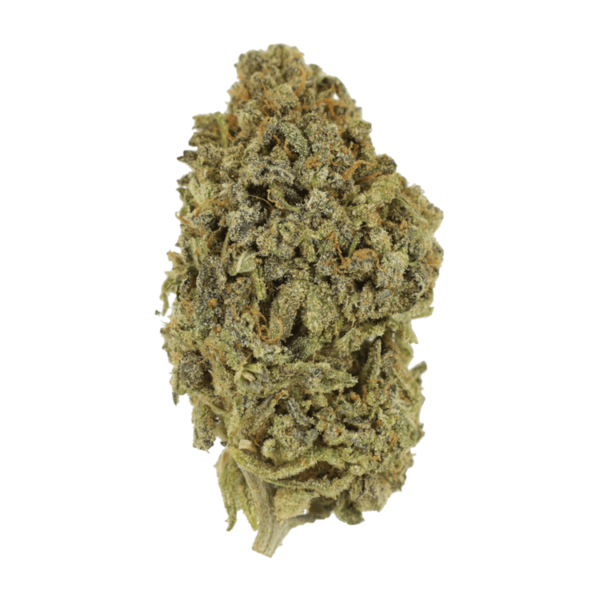 Watermelon Gelato | Speed Greens Canada
