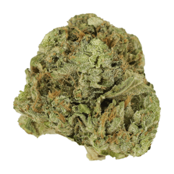 Mango Cream | Speed Greens Canada