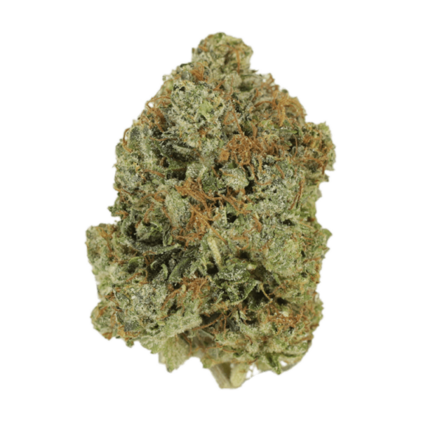 Jack Herer (popcorn) | Speed Greens Canada