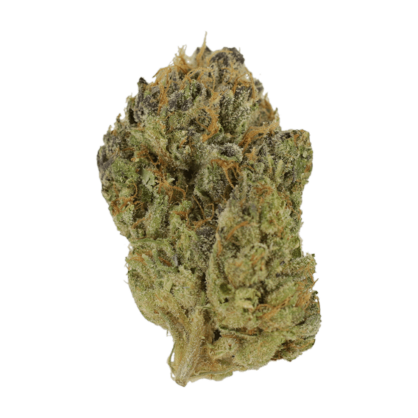 Blueberry Muffin | Speed Greens Canada