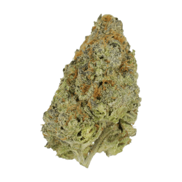 Lilac Diesel | Speed Greens Canada