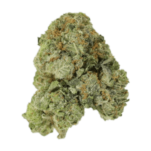 White Russian | Speed Greens Canada