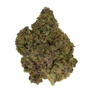 Purple Lemonade | Speed Greens Canada