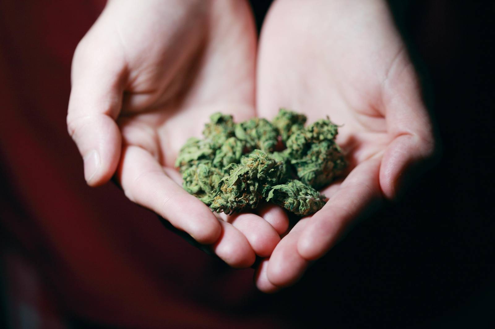 Best dispensary in canada | Speed Greens Canada