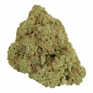 Rainbow Driver | Speed Greens Canada