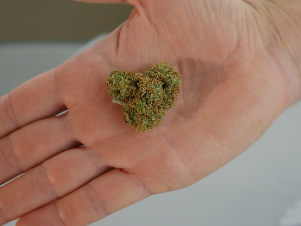cannabis marijuana Canada | Speed Greens Canada