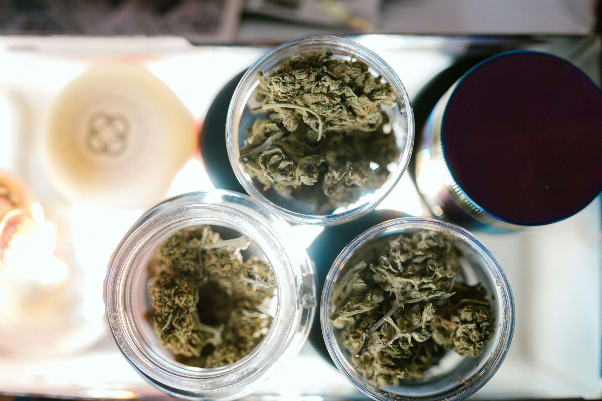 Craft cannabis canada | Speed Greens Canada