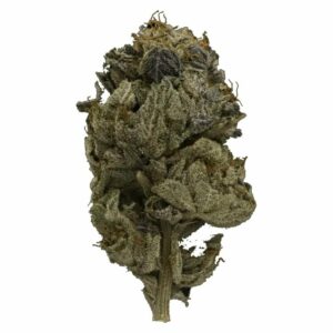 Speed Greens Canada - Pink Gas Strain | Speed Greens Canada