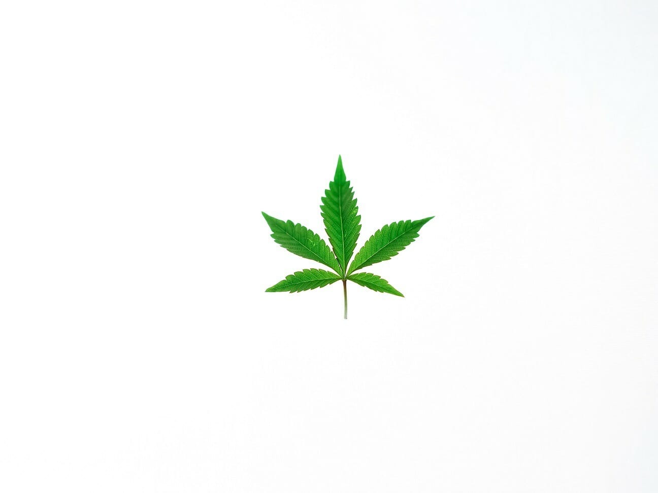 Benefits of Shopping in a BC cannabis Online Dispensary | Speed Greens Canada