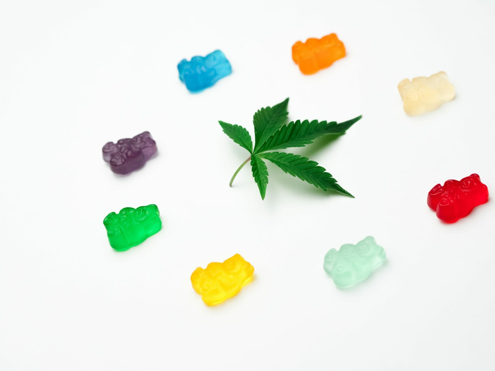 Grasslife - cannabis Dispensaries | Speed Greens Canada
