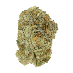 Slurricane | Speed Greens Canada