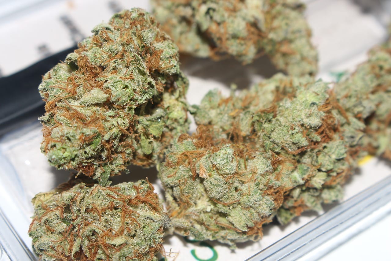 Hybrid cannabis Strains | Speed Greens Canada