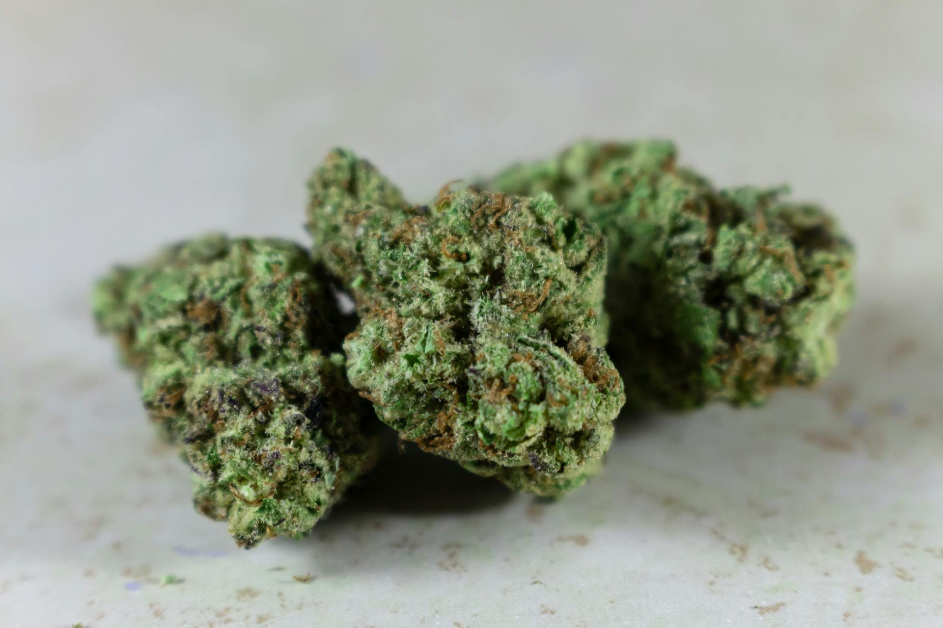 | Speed Greens Canada Best Indica Online in Canada | Speed Greens Canada