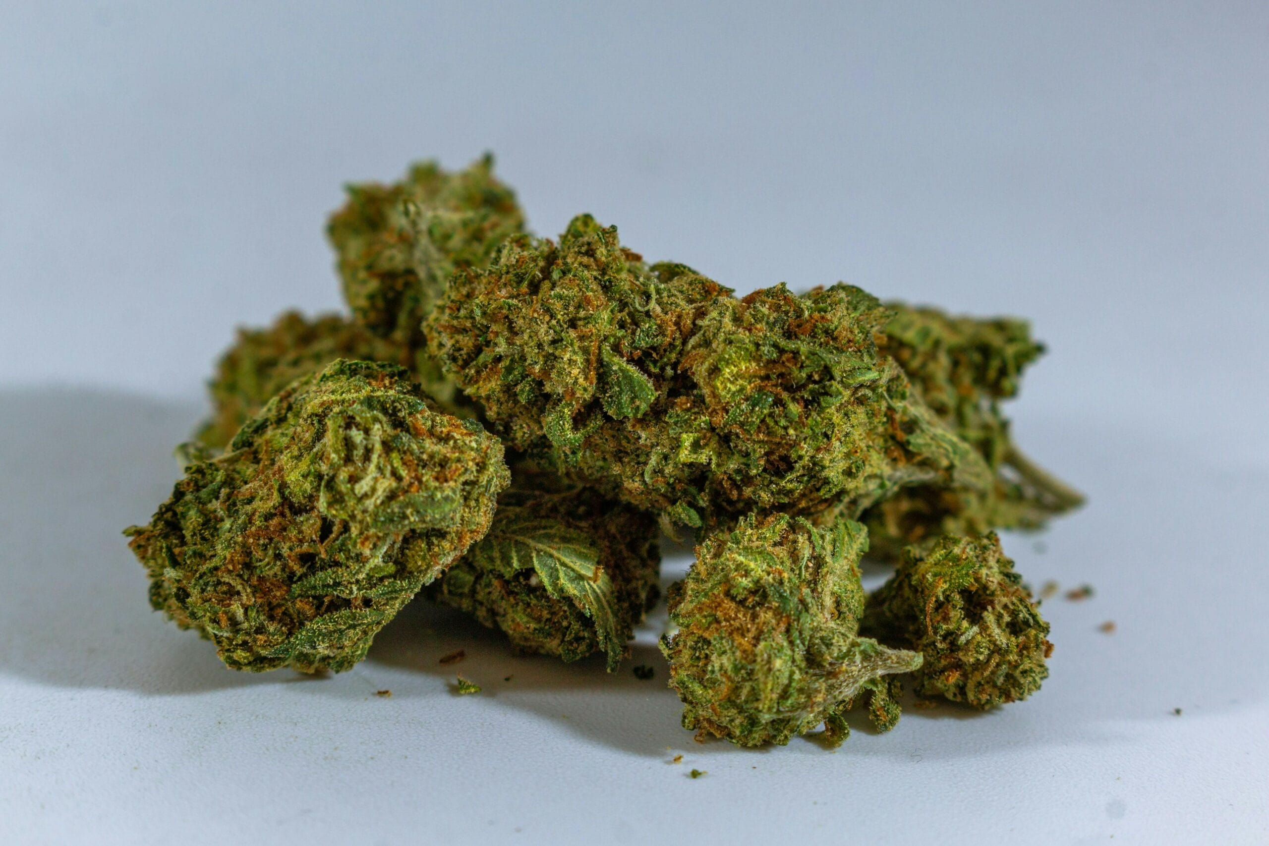 cheap-weed-online-canada | Speed Greens Canada